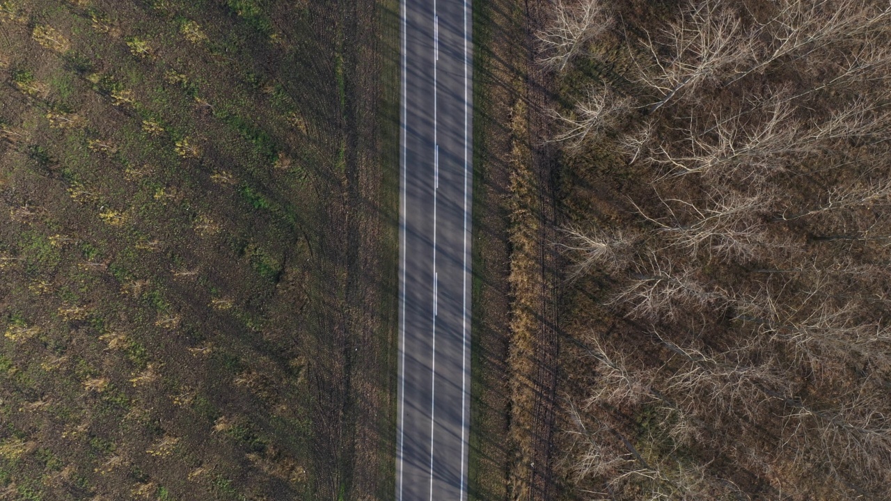 航拍秋天穿过森林的道路，俯视视频素材