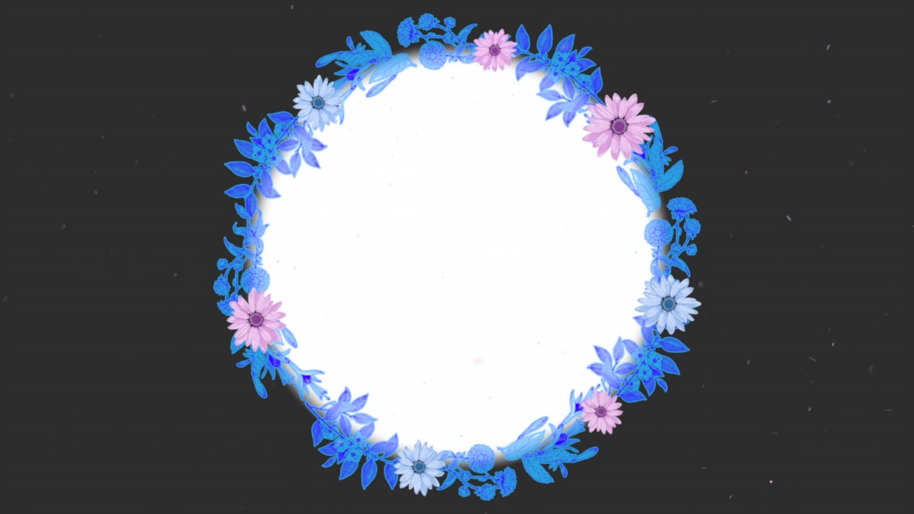 蓝色和紫色的夏季花朵上的黑色视频素材画面1