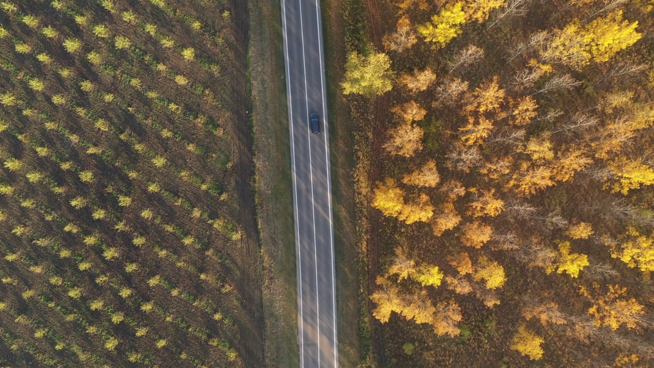 空中拍摄的卡车和汽车在秋天穿过森林的道路上，自上而下的无人机pov视频素材