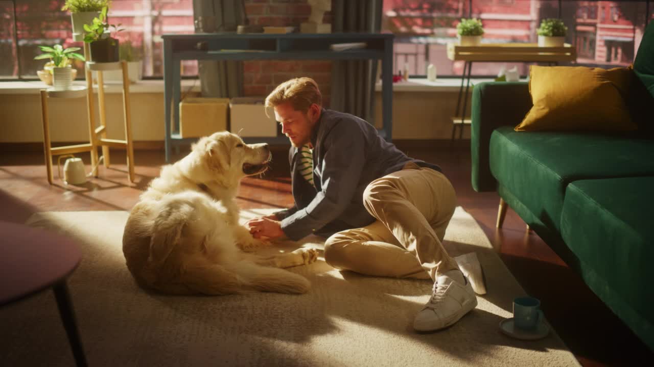 成功的年轻人在家和他的狗玩耍，活跃的金毛猎犬。男人坐在地板上逗弄、爱抚和抓挠一只兴奋的狗，在时尚的阁楼客厅里玩得很开心。视频素材