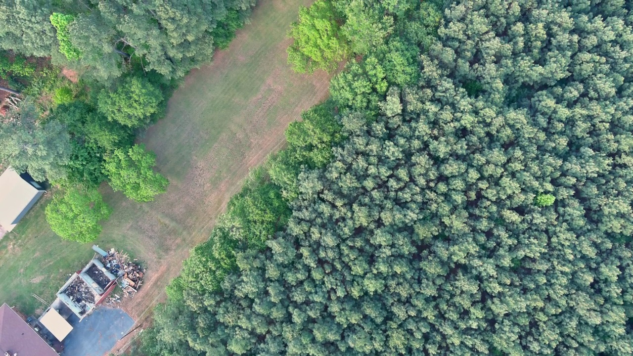 沸泉村的居民区在森林附近视频素材