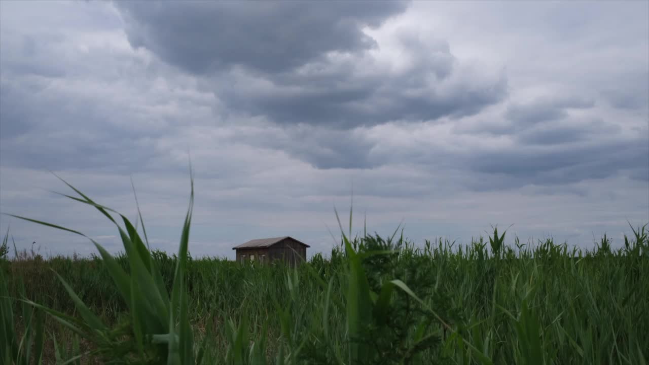 在阴天下的草地上的农舍视频下载