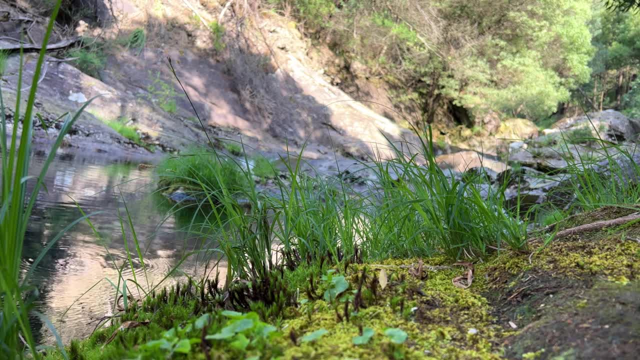 这个瀑布被称为cascata do Pincho或cascata da ferida ma。它坐落在安科拉河上，神话般的自然就像一部关于海盗和旅行的电影。视频素材