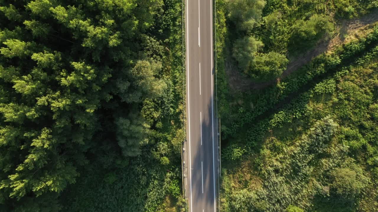 三辆汽车和半卡车在高速公路上通过绿色的树木景观，航拍视频素材