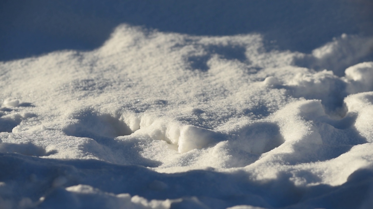 孩子们的脚在雪地里奔跑。冷硬化健康生活方式视频下载