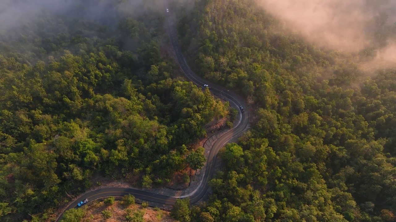 汽车行驶在蜿蜒的道路上通过绿色的森林与雾在早晨的时间Arial视图。视频素材