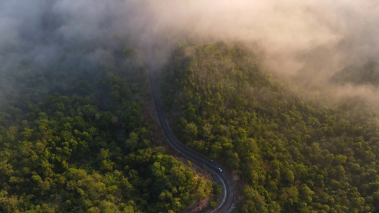 汽车行驶在蜿蜒的道路上通过绿色的森林与雾在早晨的时间Arial视图。视频素材