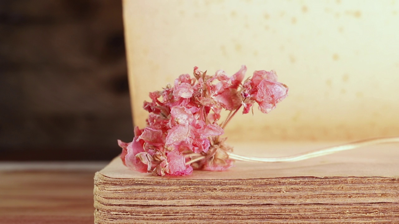 旧书和红花视频素材画面4