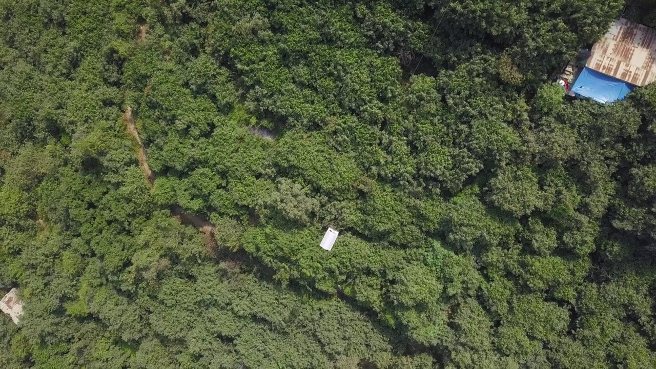 空中无人机拍摄的一辆白色缆车穿越了一大片植被之间的牟视频素材