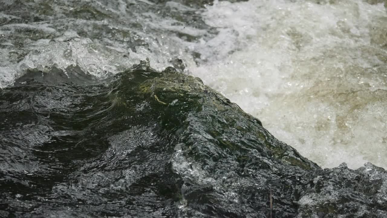 河中流淌着冰冷的河水。视频素材