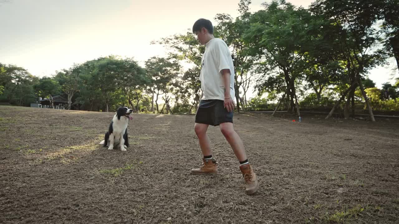 夏天，一只博德牧羊犬和它的主人在公园里玩耍视频素材