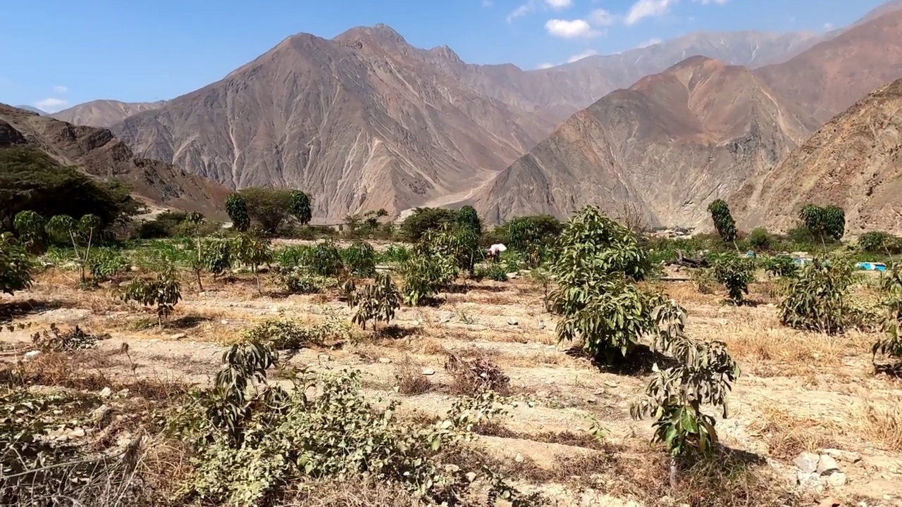 在阳光明媚的日子里，在高地的群山中播撒着湛蓝的种子视频素材