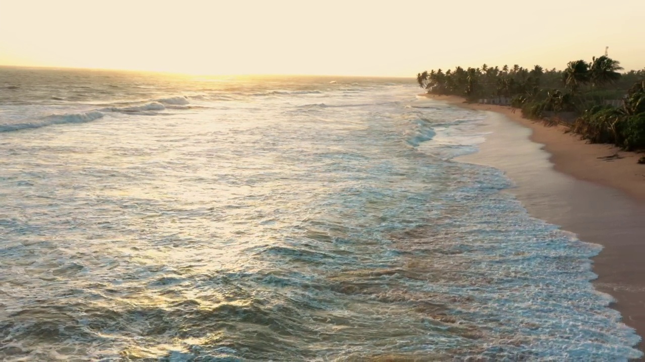 日落时海滩上的海浪，棕榈树视频素材