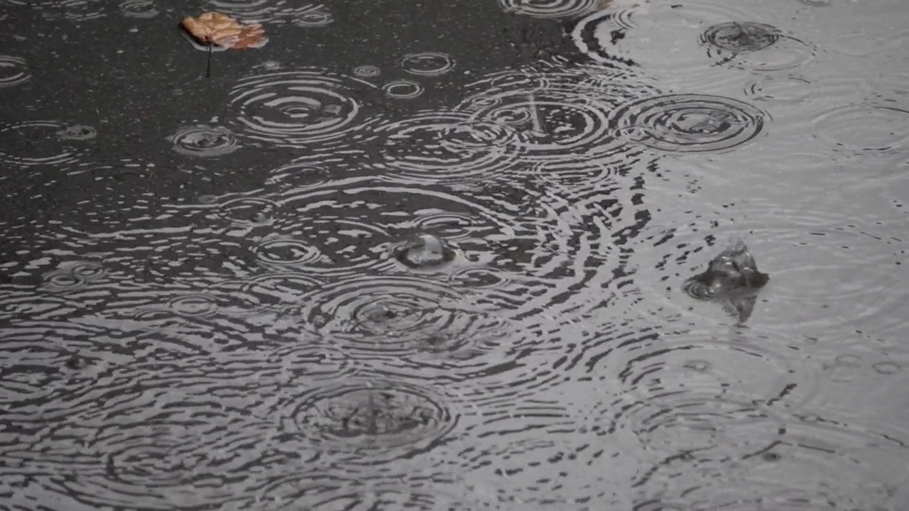 雨滴落在柏油路上，形成涟漪视频素材