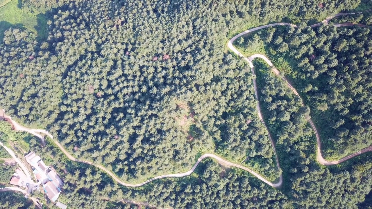 露营地，道路和小径附近的山和森林/抱川市，京畿道，韩国视频素材