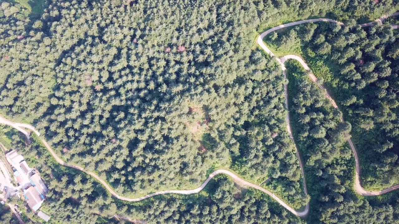 露营地，道路和小径附近的山和森林/抱川市，京畿道，韩国视频素材