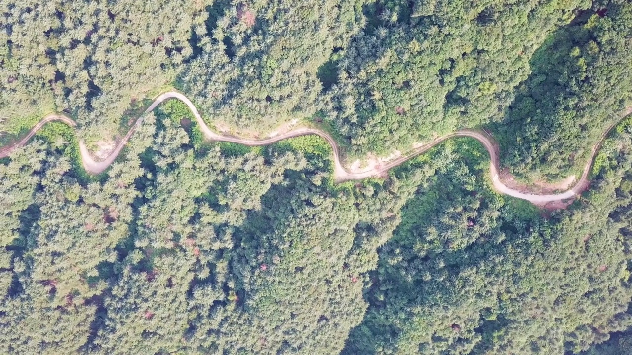 靠近山和森林的道路和步道/抱川市，京畿道，韩国视频素材