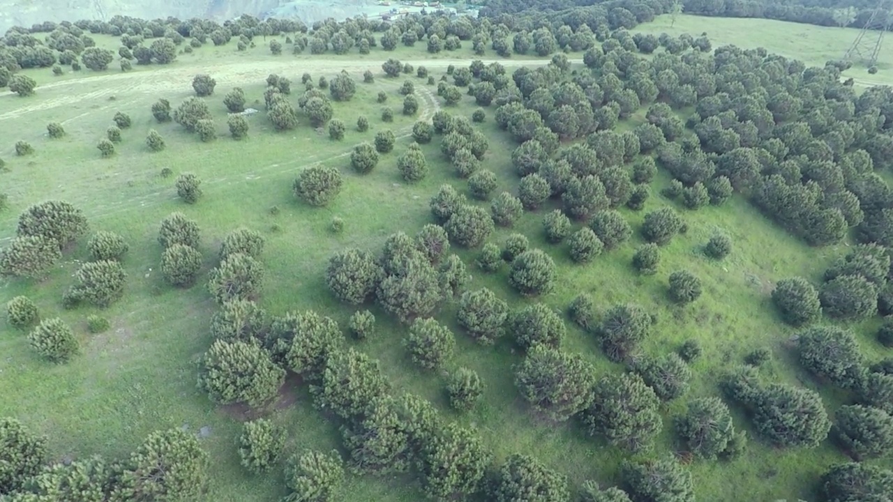 空中绿树山视频素材