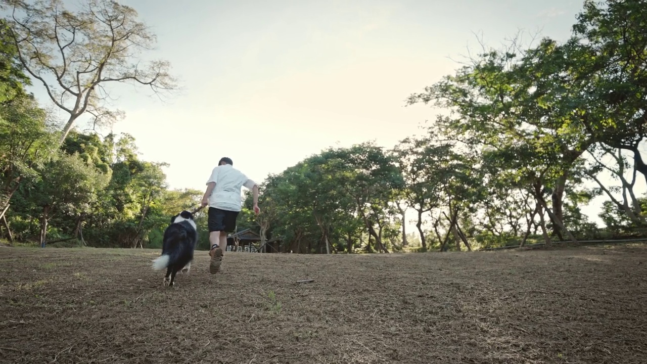 夏天，一只博德牧羊犬和它的主人在公园里玩耍视频素材