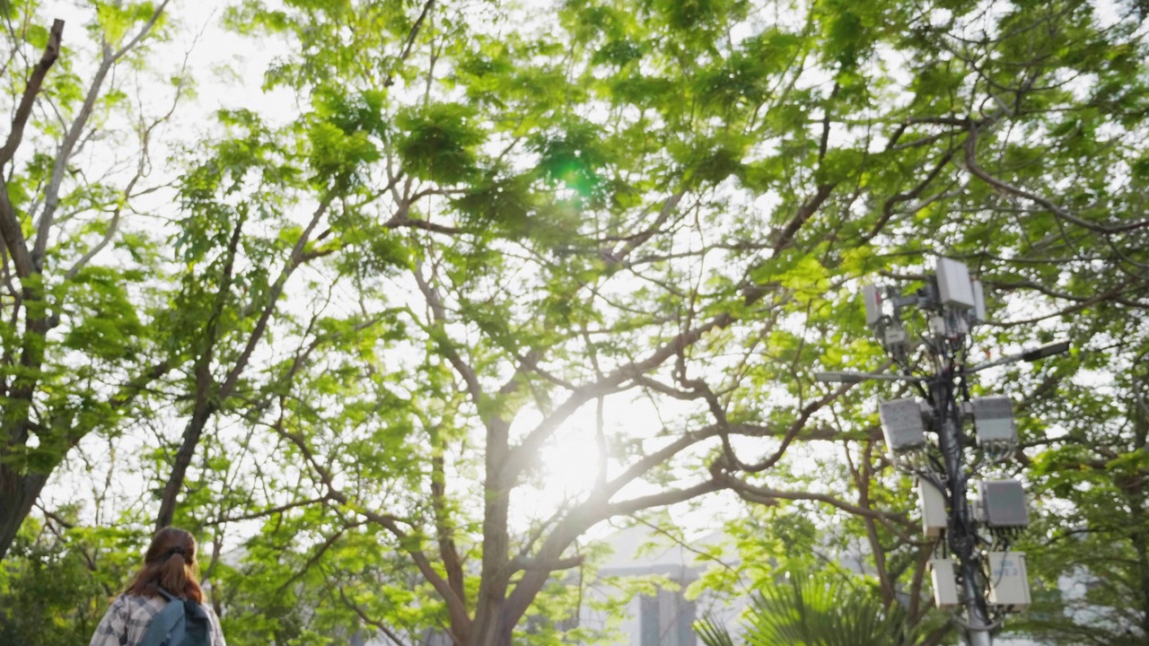 一群快乐的学生朋友在大学里一起打招呼。教育和学生。视频素材