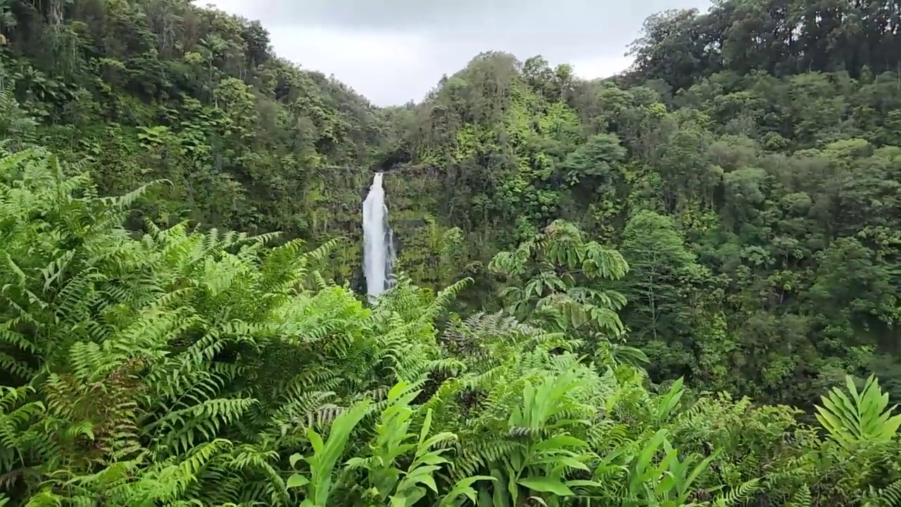 夏威夷大岛的阿卡卡瀑布州立公园视频素材