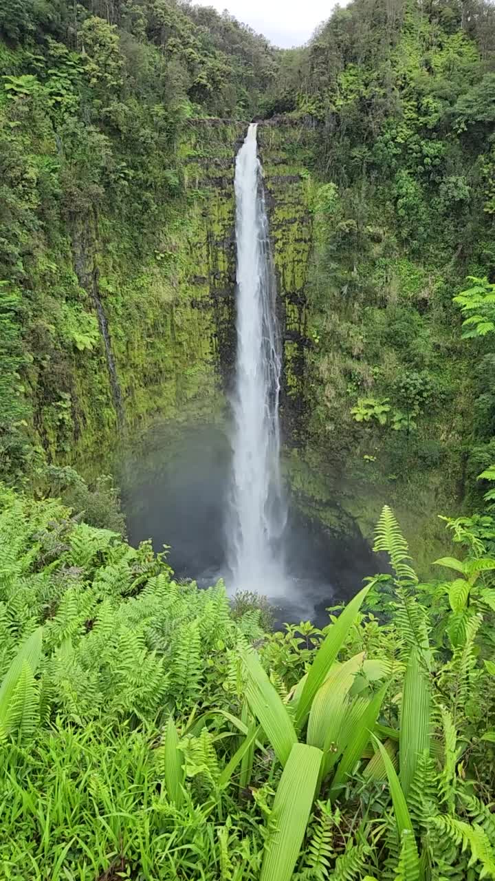 夏威夷大岛的阿卡卡瀑布州立公园视频素材