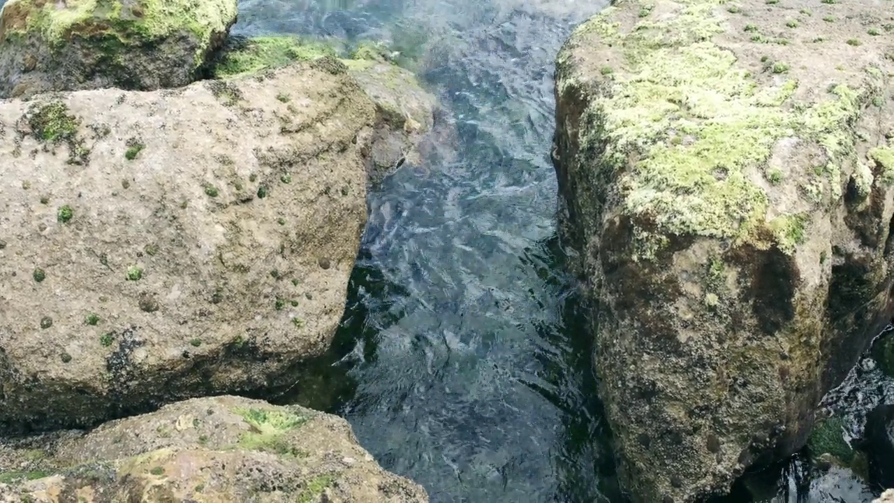 有岩石和地衣的海岸线视频素材