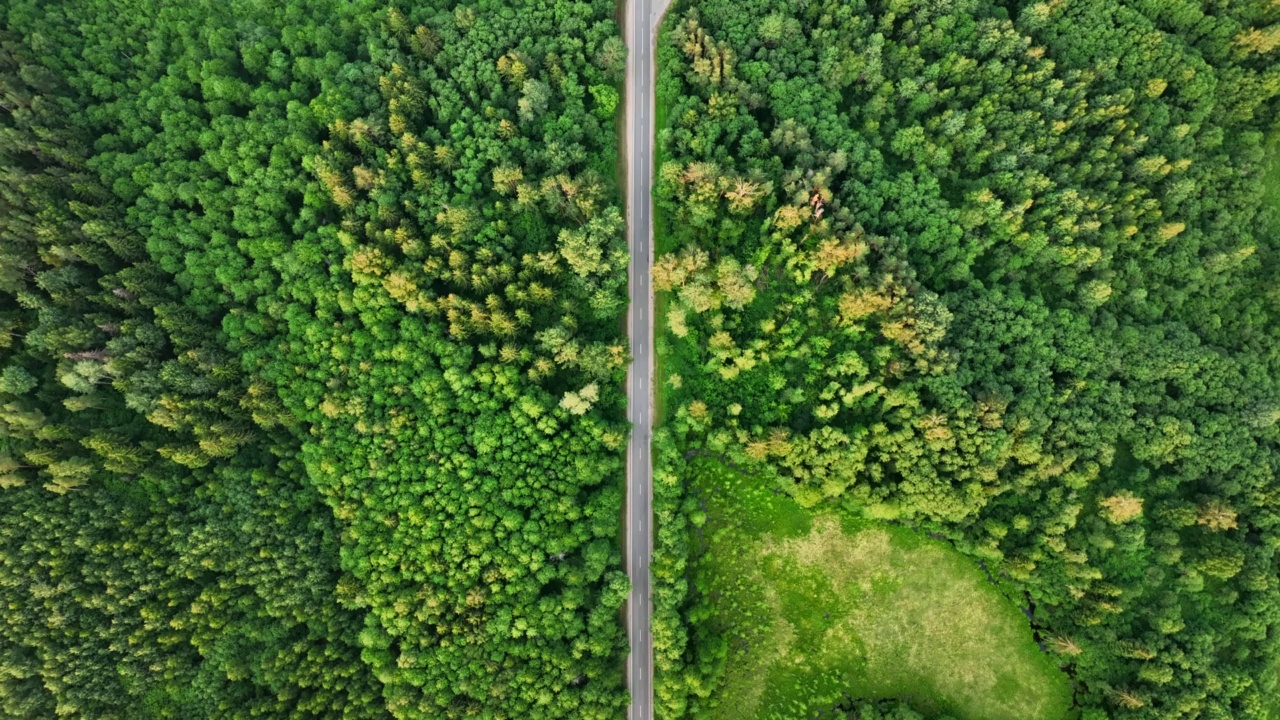 公路穿过松树林和湖泊，鸟瞰。视频素材