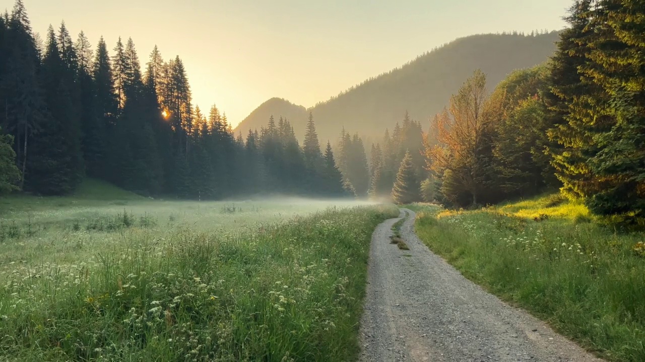 美丽的乡村公路穿过绿色的草地，晨雾缭绕，在日出时被森林包围视频素材