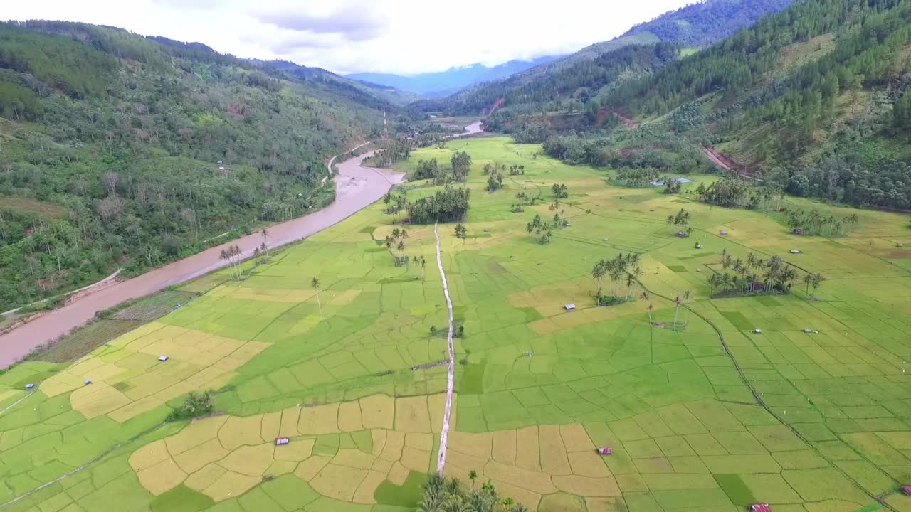 农村景观视频素材