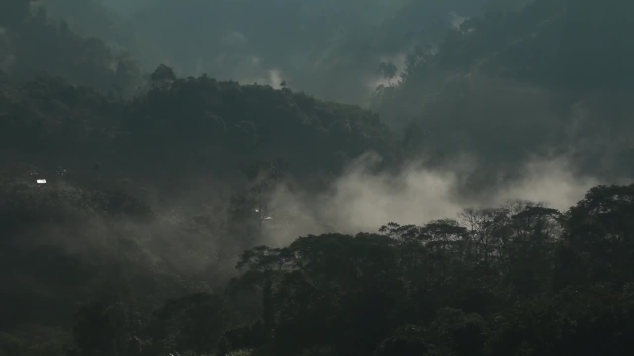 晨光视频素材