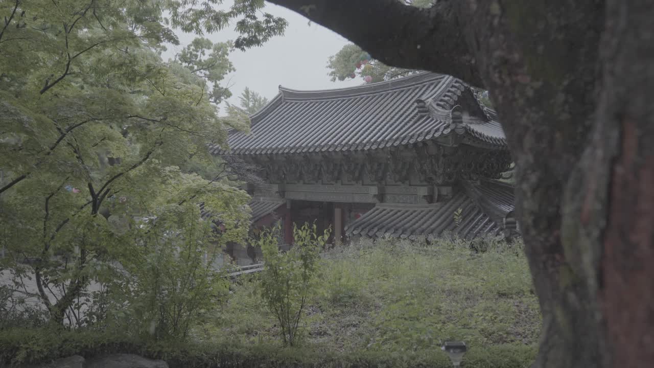 下雨天的吉相寺/韩国首尔城北区视频素材