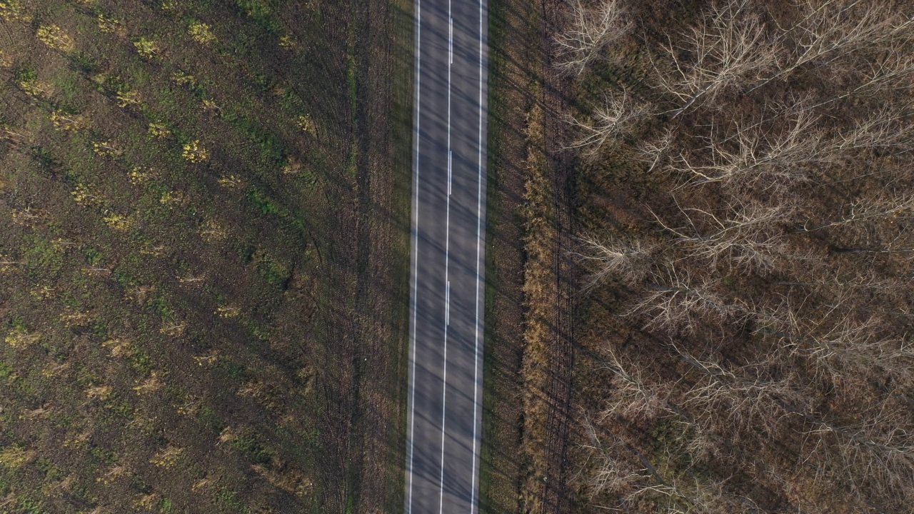 空中拍摄的一辆卡车在秋天穿过森林的道路上，无人机视角视频素材