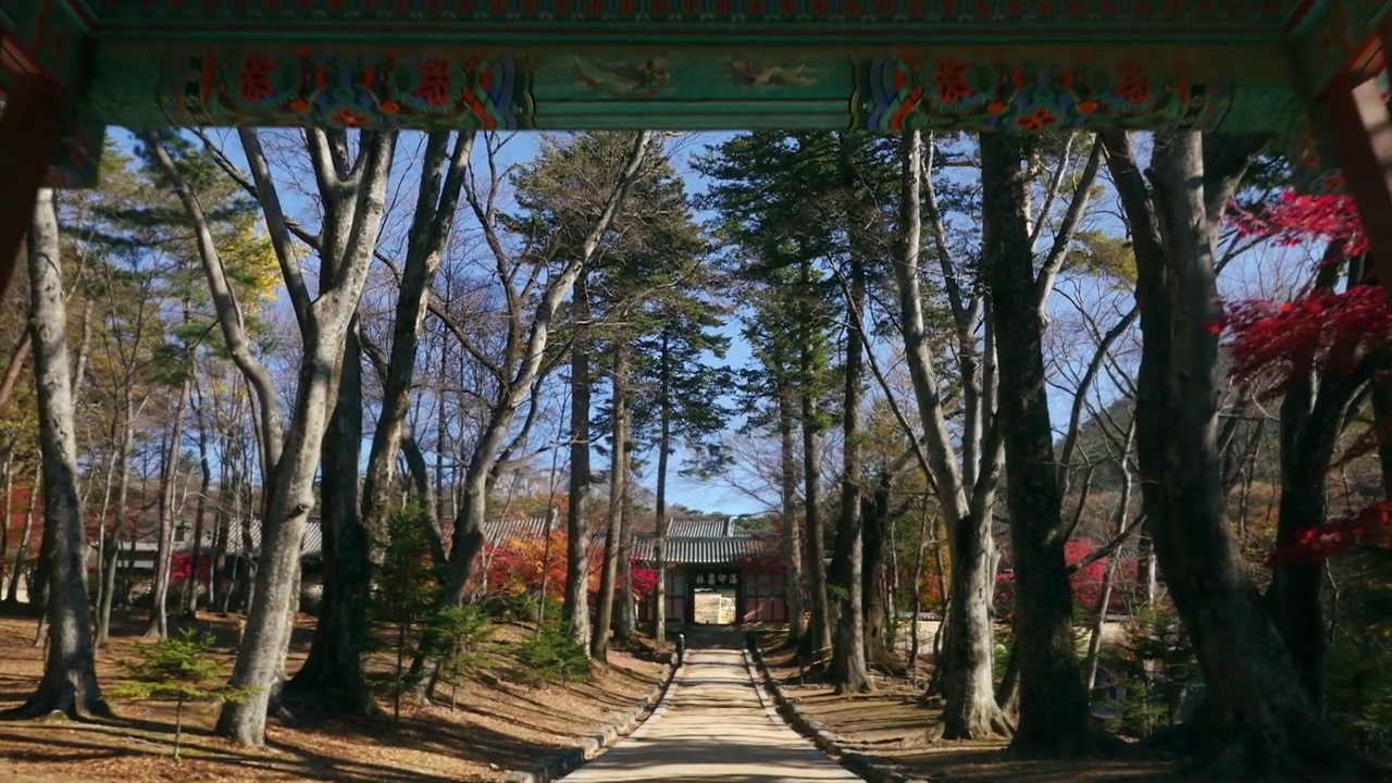 秋天，庆尚南道合川郡加峨山海印寺一柱门视频素材