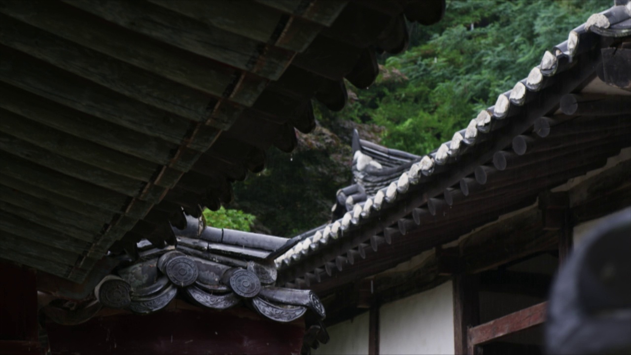 下雨天，庆尚北道安东市道山书院的丹青屋檐(韩国传统木质建筑上的彩色装饰画)视频素材