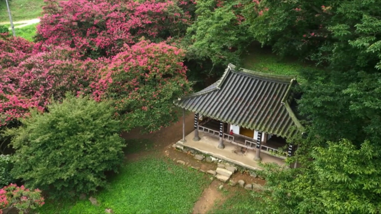 春天的素沃源花园/潭阳郡，全南道，韩国视频素材