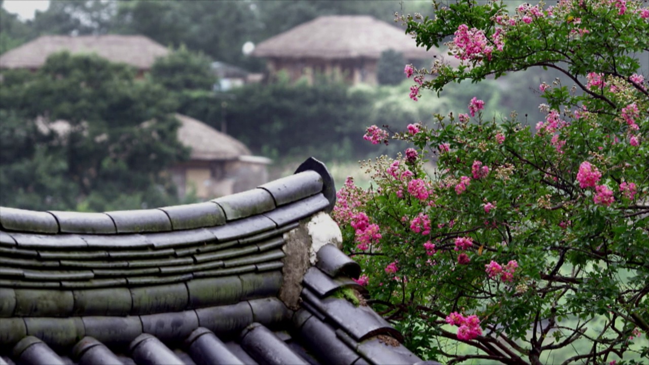 雨天阳东村的Giwa(传统的韩国屋顶瓦)/庆州市，庆北道，韩国视频素材