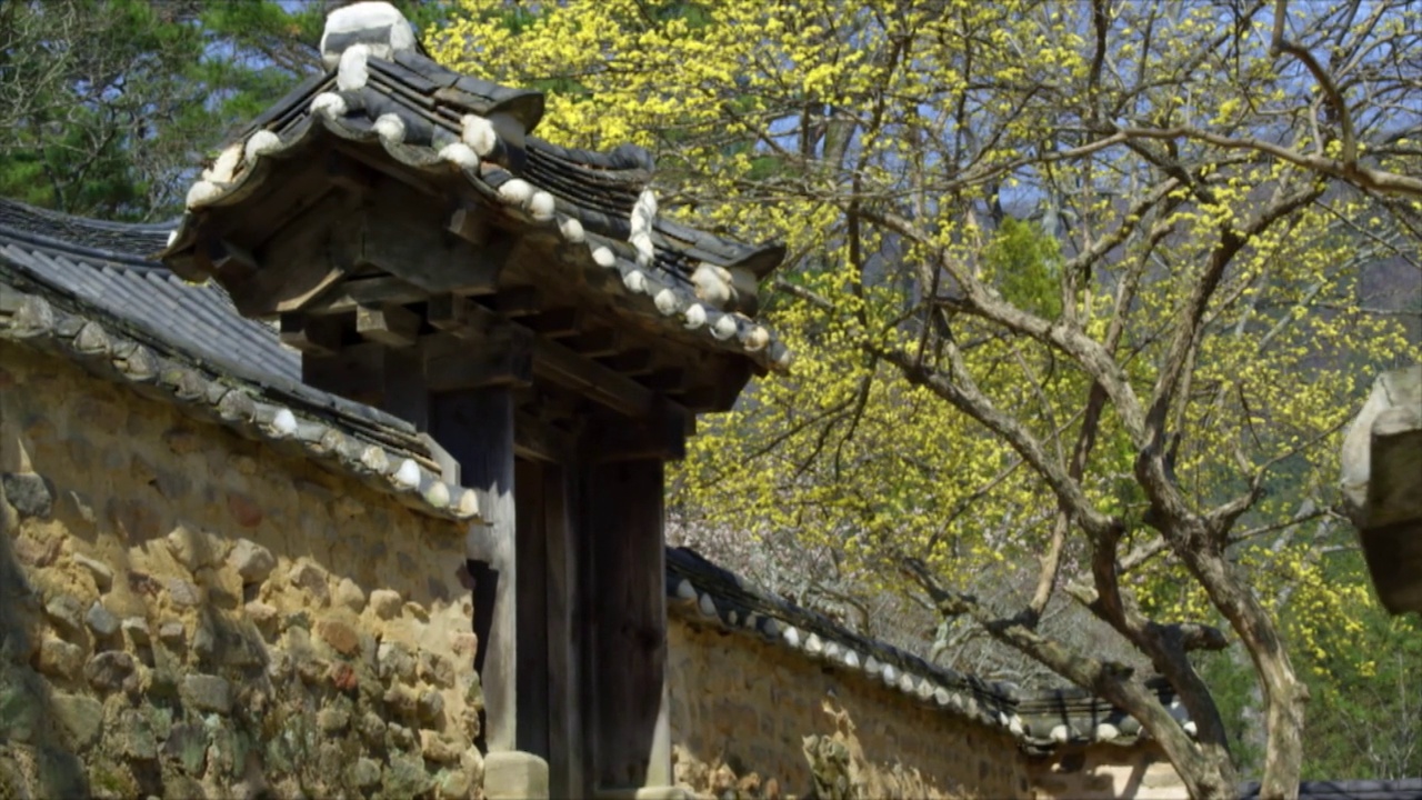 春天的素沃源花园/潭阳郡，全南道，韩国视频素材