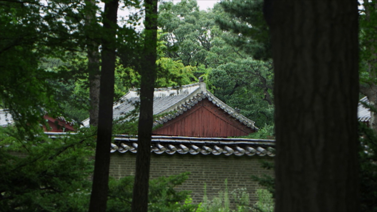 下雨天的薰井区宗庙。韩国首尔钟路区视频素材