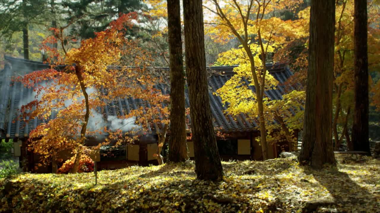 秋天曹溪山仙庵寺/韩国全南顺天市视频素材