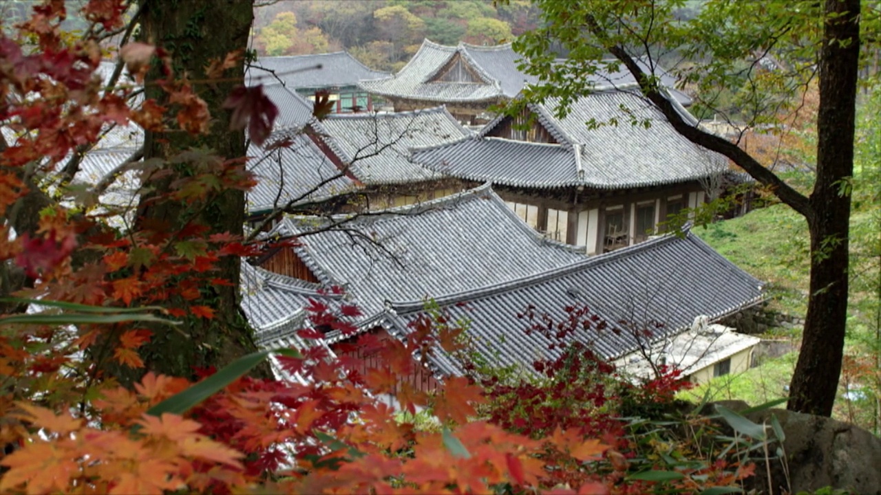 韩国庆尚南道梁山市英楚山通道寺视频素材