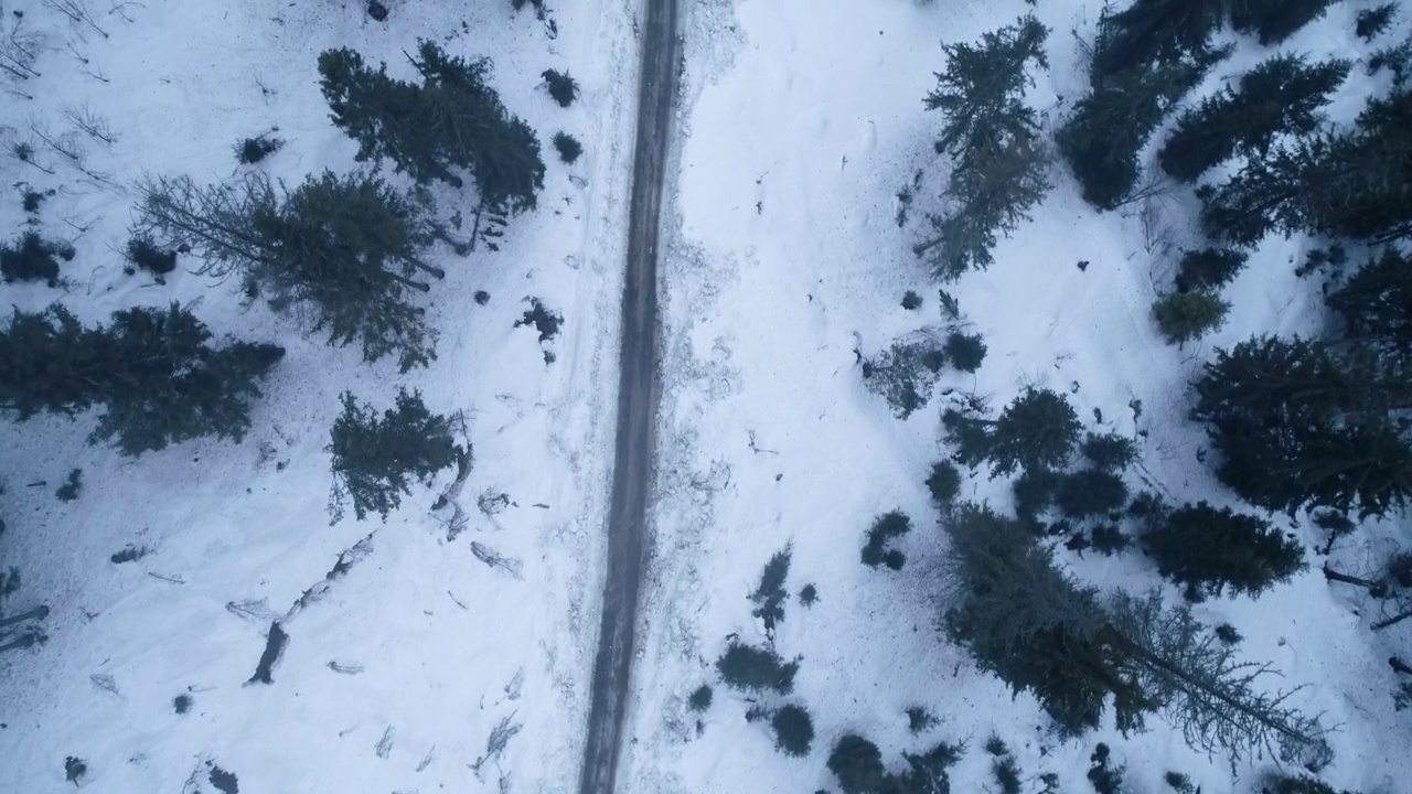 雪山和大绿树的全景。鸟瞰乌克兰喀尔巴阡山脉的野生植物群视频素材