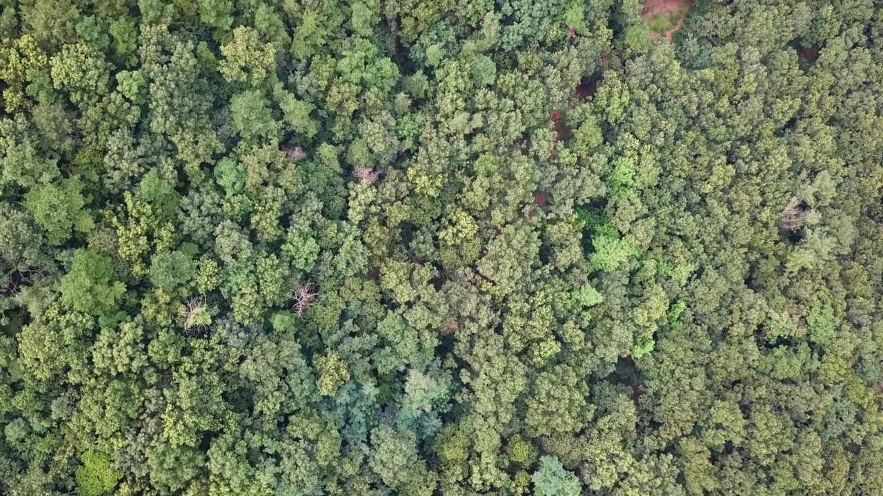 韩国仁川江华郡江华岛附近的山，森林和树视频素材