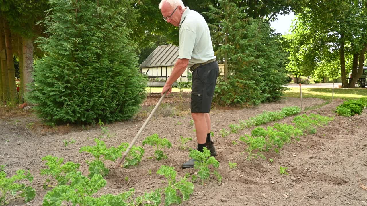 在花园里拿着鹤嘴锄的男人视频素材