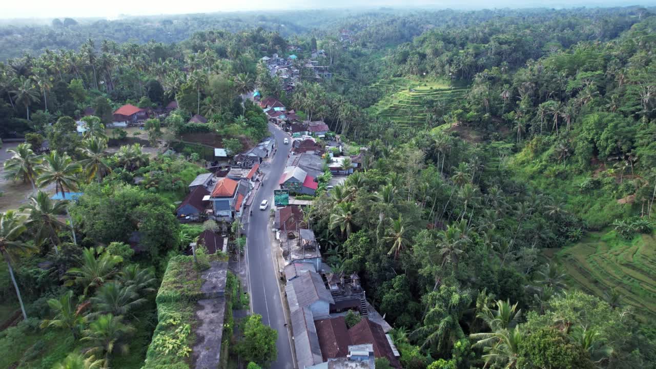 村舍沿着蜿蜒的道路，梯田在山坡上视频素材