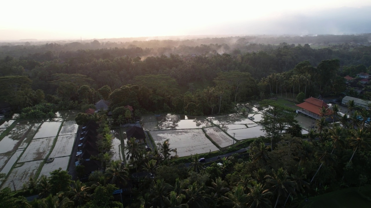 黑暗的景观，绿色的稻田和下一个地区的洪水，航拍视频素材