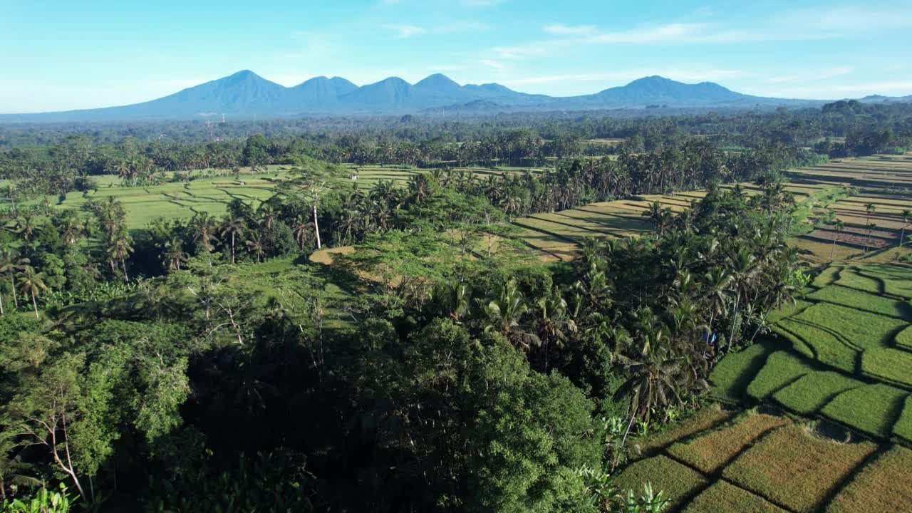 壮观的巴厘岛中部全景，稻田和丛林，背后的山脉视频素材