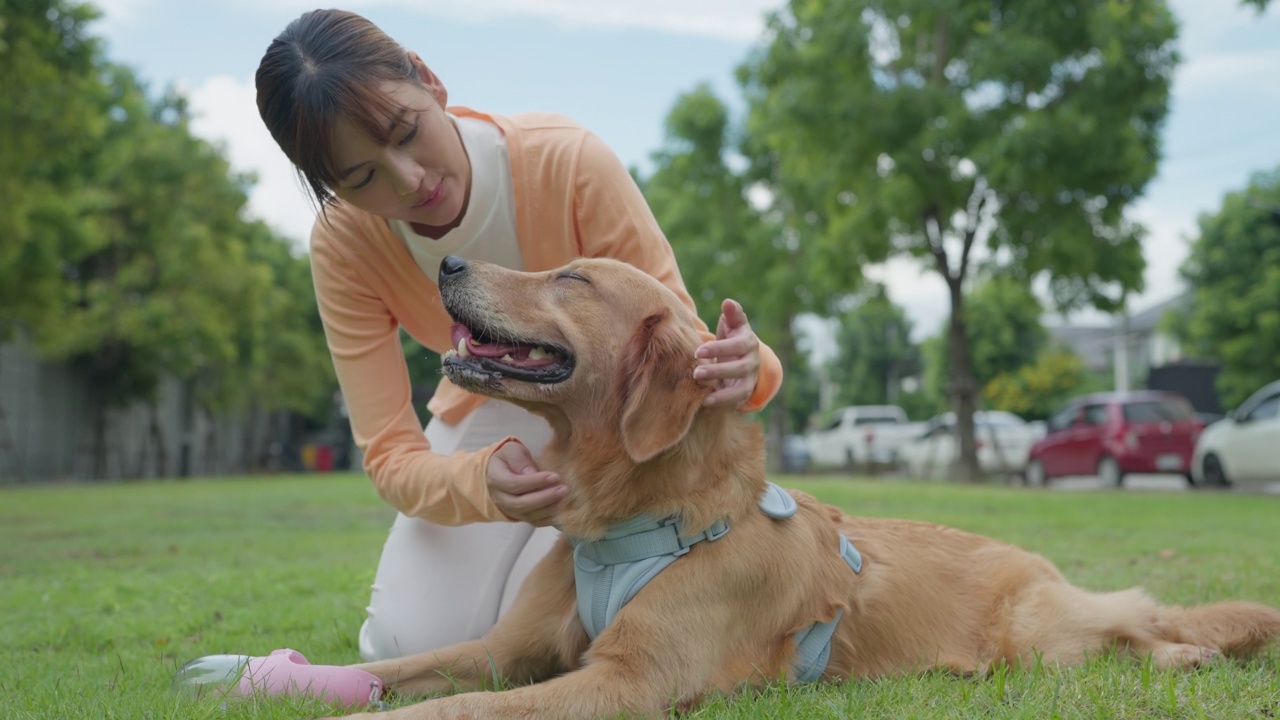 年轻美丽的亚洲女人在花园里和她的狗玩耍。视频素材