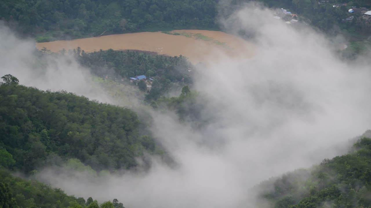 清晨的热带雨林，雾和薄雾笼罩着高山视频素材