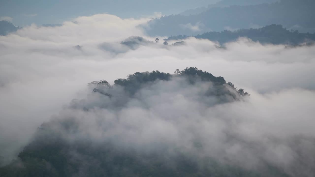 清晨的热带雨林，雾和薄雾笼罩着高山视频素材